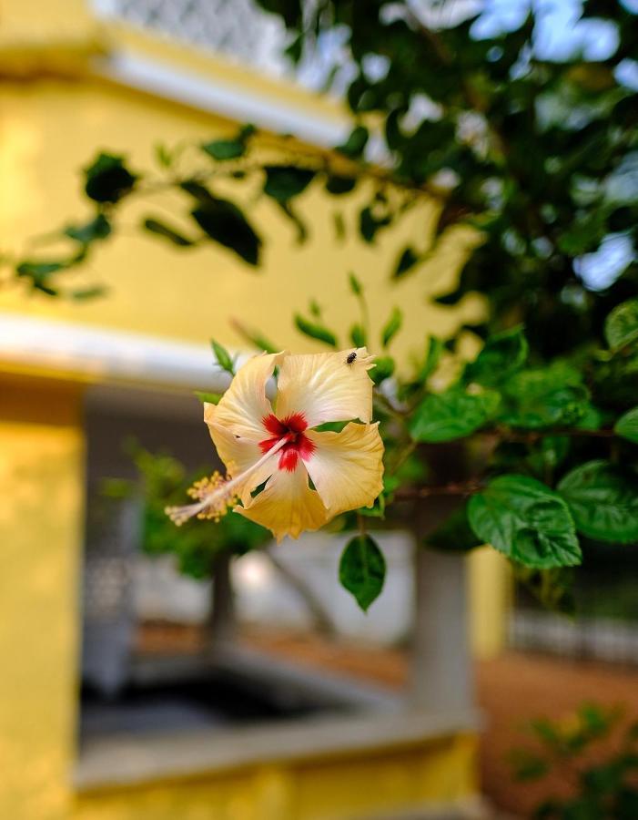 Parul - Elegant Heritage Home At The Heart Of Shantiniketan Eksteriør bilde