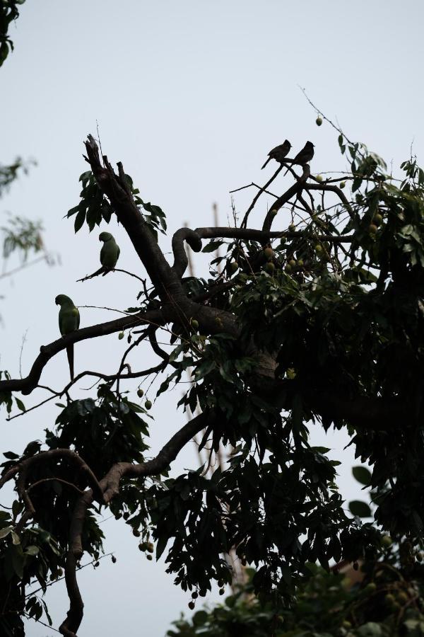 Parul - Elegant Heritage Home At The Heart Of Shantiniketan Eksteriør bilde